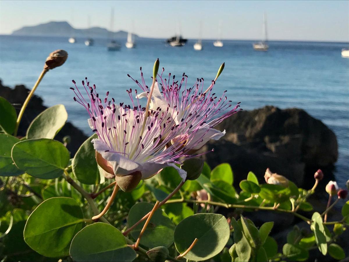 Zaffiro Lavico Rooms Etna Nature Sea อาชิเรอาเล ภายนอก รูปภาพ